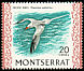 Red-billed Tropicbird Phaethon aethereus  1970 Birds Chalk-surfaced paper