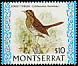 Forest Thrush Turdus lherminieri  1974 Birds 