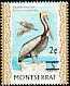 Brown Pelican Pelecanus occidentalis  1976 Surcharge on 1970.01 