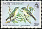 Black-whiskered Vireo Vireo altiloquus  1984 Birds 