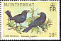 Carib Grackle Quiscalus lugubris  1985 Overprint OHMS on 1984.01 