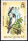 American Kestrel Falco sparverius  1985 Overprint OHMS on 1984.01 