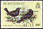 Carib Grackle Quiscalus lugubris  1987 Royal wedding anniversary 