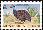 Helmeted Guineafowl Numida meleagris