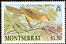 Montserrat Oriole Icterus oberi  1992 Montserrat Oriole 