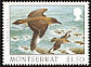 Great Skua Stercorarius skua  1997 Birds 