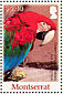 Red-and-green Macaw Ara chloropterus