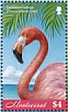 American Flamingo Phoenicopterus ruber