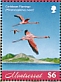 American Flamingo Phoenicopterus ruber  2019 Flamingo Sheet