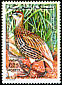 Double-spurred Spurfowl Pternistis bicalcaratus  1974 Moroccan animals 2v set