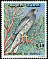 Dark Chanting Goshawk Melierax metabates