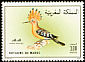 Eurasian Hoopoe Upupa epops  1990 Birds 