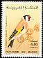 European Goldfinch Carduelis carduelis