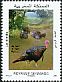 Wild Turkey Meleagris gallopavo  2011 Turkey and plant 2v set