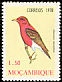 Red-headed Weaver Anaplectes rubriceps  1978 Birds 