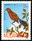 Violet-eared Waxbill Granatina granatina  1987 Birds 