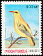 African Golden Oriole Oriolus auratus