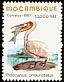 Great White Pelican Pelecanus onocrotalus  1997 Aquatic birds 