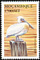 Dalmatian Pelican Pelecanus crispus  2002 Seabirds 