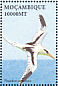 White-tailed Tropicbird Phaethon lepturus  2002 Seabirds Sheet