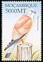 Common Kestrel Falco tinnunculus  2002 Birds of Africa 
