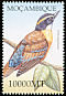 African Pitta Pitta angolensis  2002 Birds of Africa 