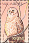 Barred Owl Strix varia  2002 Birds of Africa  MS MS MS MS