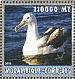 Southern Royal Albatross Diomedea epomophora  2002 Seabirds  MS