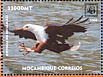 African Fish Eagle Icthyophaga vocifer