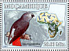 Grey Parrot Psittacus erithacus  2007 Parrots Sheet