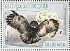 Great Grey Owl Strix nebulosa  2007 Owls Sheet