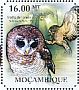 African Wood Owl Strix woodfordii  2011 Owls Sheet