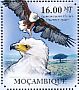 African Fish Eagle Icthyophaga vocifer