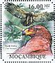 Tawny Eagle Aquila rapax  2011 Eagles Sheet