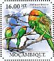Böhm's Bee-eater Merops boehmi  2011 Bee-eaters Sheet