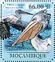 Great White Pelican Pelecanus onocrotalus  2011 Pelicans Sheet