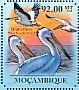 Great White Pelican Pelecanus onocrotalus  2011 Pelicans Sheet