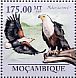 African Fish Eagle Icthyophaga vocifer  2010 Raptors  MS