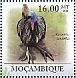 Southern Cassowary Casuarius casuarius  2011 International year of forests, Cassowary Sheet