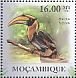 Great Hornbill  Buceros bicornis