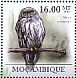 Barking Owl Ninox connivens  2011 International year of forests, Owls Sheet