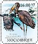 African Openbill Anastomus lamelligerus  2011 Storks Sheet
