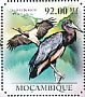 Abdim's Stork Ciconia abdimii  2011 Storks Sheet