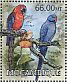 Cuban Macaw Ara tricolor †  2012 Extinct parrots Sheet