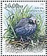 Himalayan Quail Ophrysia superciliosa †  2012 Extinct birds Sheet