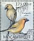 Greater Koa Finch Rhodacanthis palmeri †  2012 Extinct birds  MS