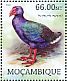 North Island Takahe Porphyrio mantelli †  2012 Extinct birds Sheet