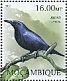 Kosrae Starling Aplonis corvina †  2012 Extinct birds Sheet