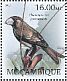 Bonin Grosbeak Carpodacus ferreorostris †  2012 Extinct birds Sheet
