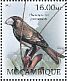 Bonin Grosbeak Carpodacus ferreorostris â€   2012 Extinct birds Sheet